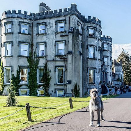 Ballyseede Castle Τράλι Εξωτερικό φωτογραφία